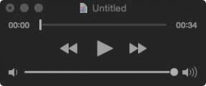 QuickTime Player Audio File