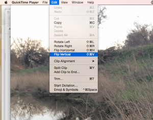 Record and Edit with Quicktime Player for Mac