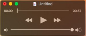 QuickTime Player Audio File