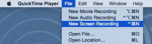 Screen Recording Menu