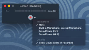 Screen Recording Options Menu